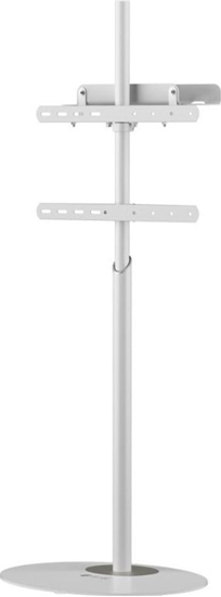 Изображение Techly Stojak podogowy TV 32"-65" do 35kg regulowany biay