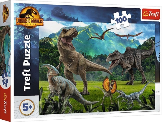 Picture of Trefl Puzzle 100 Park Jurajski TREFL