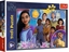 Attēls no Trefl Puzzle Disney Wish yczenie 100 elementów