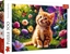 Attēls no Trefl Puzzle Uroczy kotek 500 elementów (37525)