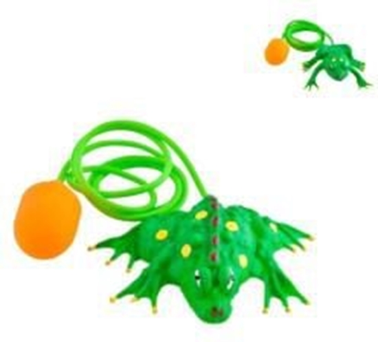 Picture of Tullo Skaczca aba (49640)