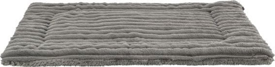 Picture of TX-374005 LONNIE MATA PLUSZOWA DLA PSA    / KOTA SZARA 60x45cm