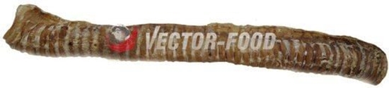 Picture of Vector-Food Tchawica woowa 1szt.