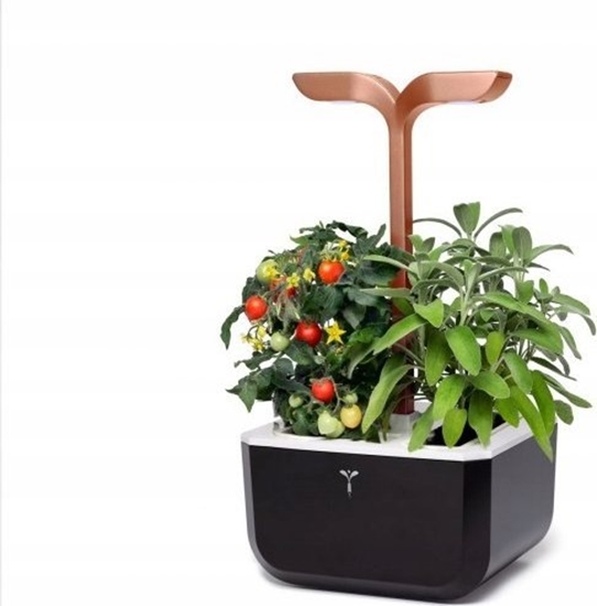 Изображение Veritable Veritable Doniczka Exky Smart Black&Copper