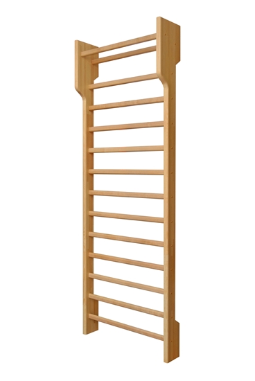 Picture of Vingrošanas siena Meduskoks 200x80x16/25 cm