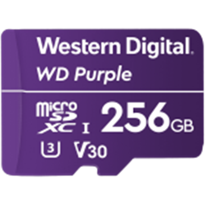 Изображение WESTERN DIGITAL WDD256G1P0C-85AEL0