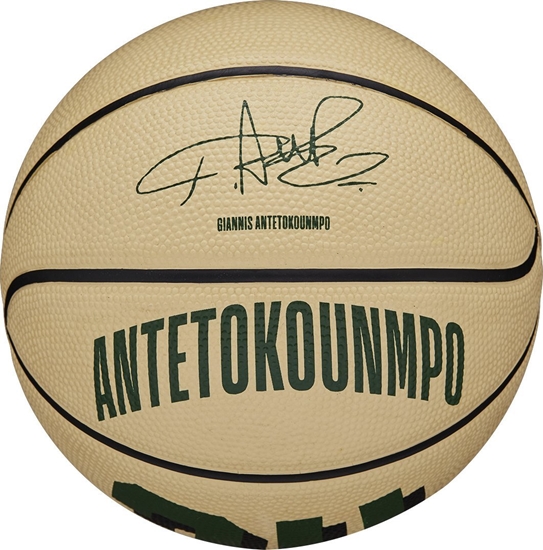 Picture of Wilson Wilson NBA Player Icon Giannis Antetokounmpo Mini Ball WZ4007501XB Beowe 3