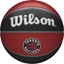 Picture of Wilson Wilson NBA Team Toronto Raptors Ball WTB1300XBTOR Czerwone 7