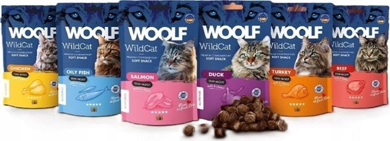 Picture of WOOLF WILDCAT przysmak KOT 50g SOFT       SNACKS SALMON