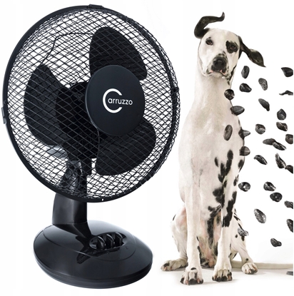 Изображение WS1 WENTYLATOR WIATRAK BIURKOWY