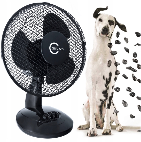 Picture of WS1 WENTYLATOR WIATRAK BIURKOWY