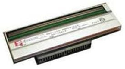 Attēls no Zebra Gowica  (P1037974-010)