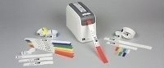 Picture of Zebra Z-BAND DIRECT ADULT 25X279MM - 10006995-7K