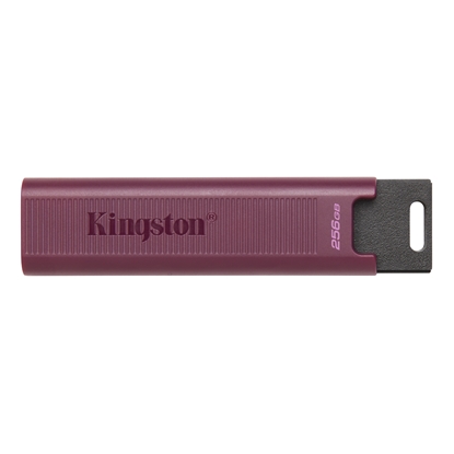 Picture of Zibatmiņa Kingston DataTraveler MAX 512GB