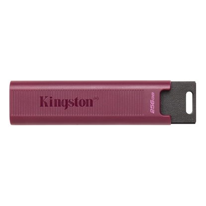 Picture of Zibatmiņa Kingston DataTraveler MAX 512GB