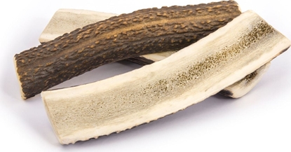 Attēls no 4DOGS 4DOGS GRYZAK XL (EASY)