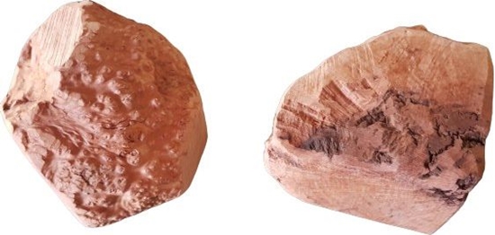 Изображение 4DOGS 4DOGS GRYZAK XL z korzenia wrzoca