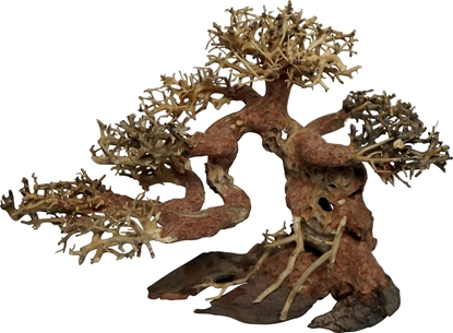 Attēls no 4FISH Trærødder, Bonsai, 30x15x23 cm