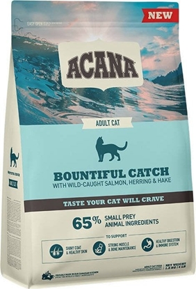 Picture of Acana ACANA Bountiful Catch Cat 1,8kg