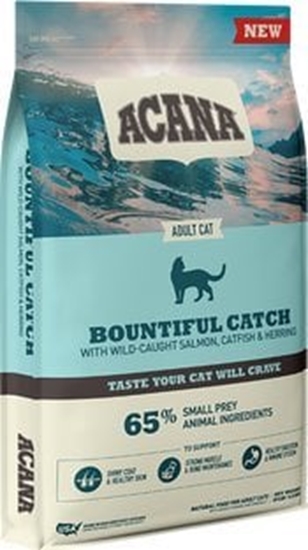 Picture of Acana ACANA Bountiful Catch Cat sausas maistas katms 4,5kg