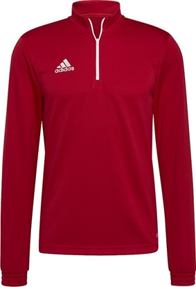 Picture of Adidas Bluza mska adidas Entrada 22 Training Top czerwona H57556 XL