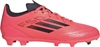 Picture of Adidas Buty adidas F50 League Jr FG/MG IF1377