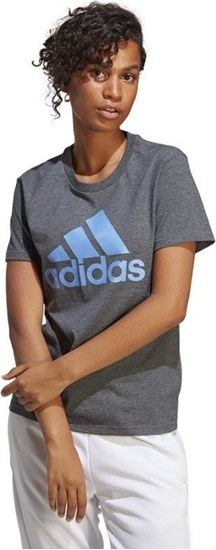 Picture of Adidas Koszulka adidas Big Logo Tee IC0634