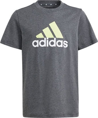 Attēls no Adidas Koszulka adidas Big Logo Tee Jr IJ6262