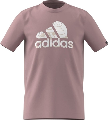 Attēls no Adidas Koszulka adidas BOS Nature girls Jr HR8146