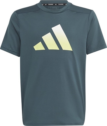 Picture of Adidas Koszulka adidas TI Tee Jr IJ6416