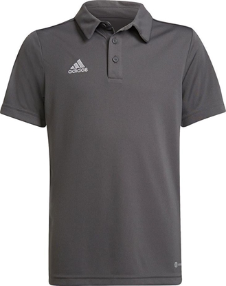Picture of Adidas Koszulka dla dzieci adidas Entrada 22 Polo szara H57485 : Rozmiar - 140cm