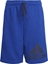 Picture of Adidas Spodenki adidas BL Shorts HE9296