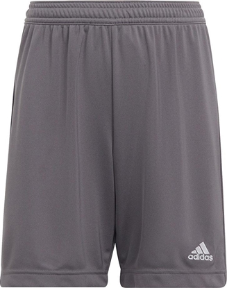 Picture of Adidas Spodenki adidas ENTRADA 22 Short Y H57507 H57507 szary 116 cm
