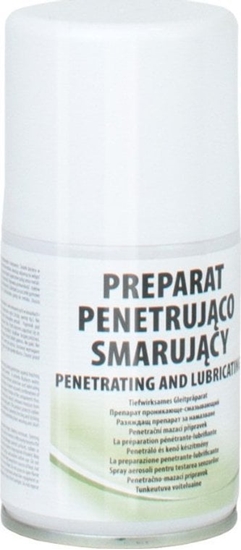 Изображение AG TermoPasty PREPARAT DO CZYSZCZENIA KLEM ZAMKA ZAWIASÓW LINEK