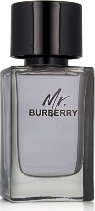 Picture of Alkotest BURBERRY Mr. Burberry EDT spray 100ml