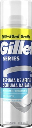 Изображение Alkotest GILLETTE_Series odwieajcy el do golenia 250ml