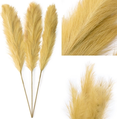 Picture of AmeliaHome AmeliaHome Sztuczny kwiat trawa pampasowa PAMPLY 110CM 3 szt miodowa