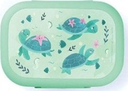 Picture of Amuse Lunchbox do szkoy CLIP ówik / Amuse