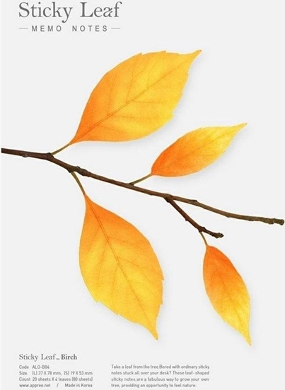 Picture of Appree Kartki samoprzylepne - brzoza óta L