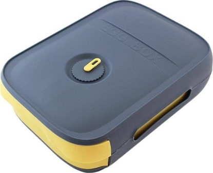 Picture of Apte POJEMNIK do PRZECHOWYWANIA JAJEK na 18-20 jaj 28x21x8cm AG827