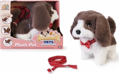 Picture of Artyk Piesek chodz.n/smyczy biao-brzowy 14cm 170263