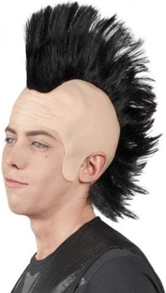 Attēls no Aster Peruka Punk