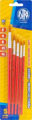 Изображение Astra Zestaw pdzli nylon Astra 5 szt. rozmiary 2/4/8/10/16
