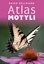 Picture of Atlas motyli w.4