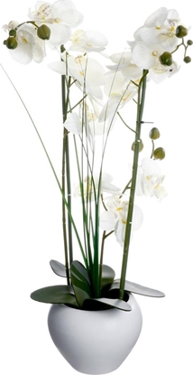 Изображение Atmosphera Orchidea w biaej doniczce 53 cm