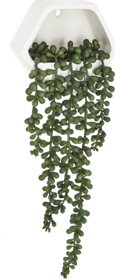 Изображение Atmosphera Rolina sztuczna Starzec zwisajcy