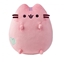 Attēls no Aurora PUSHEEN Soft toy Pastel pink Pusheen, 18 cm