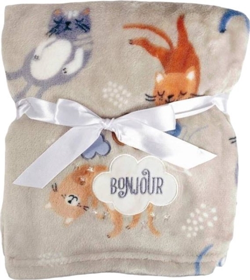 Picture of BabyMatex Kocyk 75 x 100 Mikrofibra z Haftem Ricco RI6B