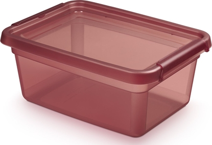 Изображение Basestore Pojemnik Z Pok.i Klipsami 28x38x16cm 12,5l Rhubarg (2522)