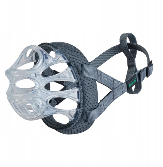 Изображение BASKERVILLE KAGANIEC INVISA 1